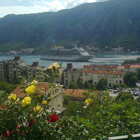 Apartment Aki Kotor Exterior foto