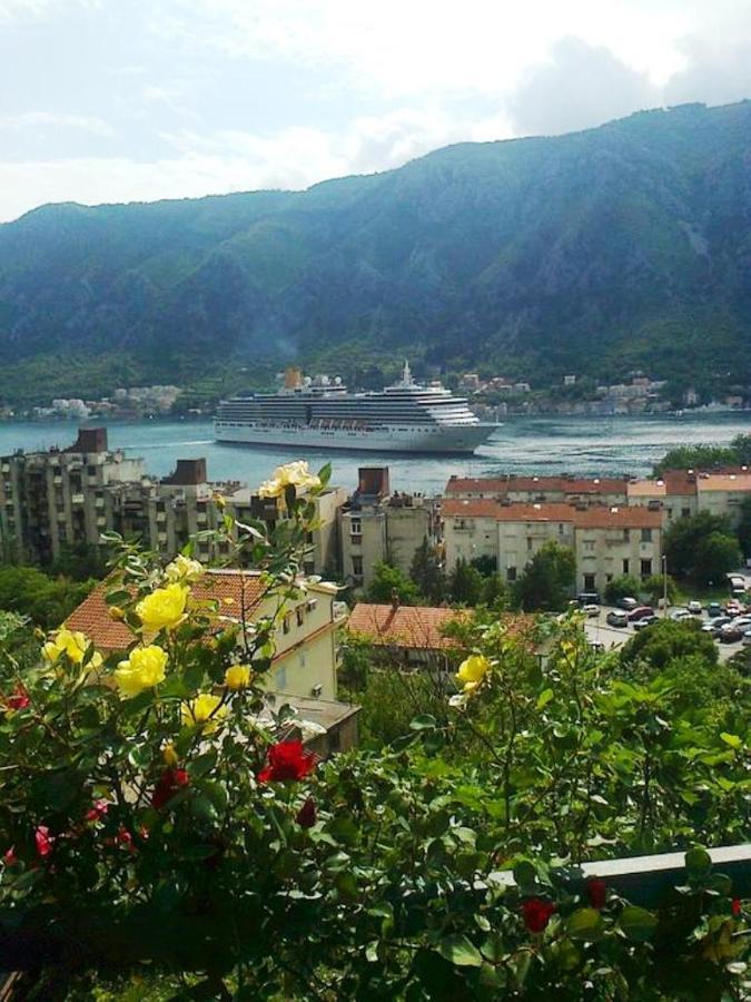Apartment Aki Kotor Exterior foto